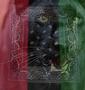 Black Panther / drapeau  Panafricain