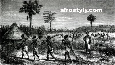 Slave capture