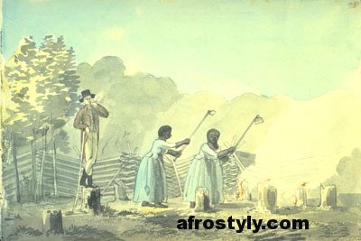 Esclavage : plantation