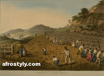 Esclavage : plantation