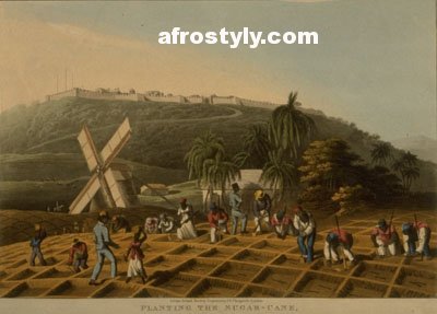 Esclavage : plantation
