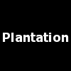 Esclavage : plantation