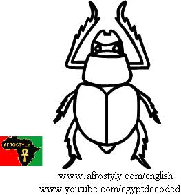 Scarab - Dung-beetle